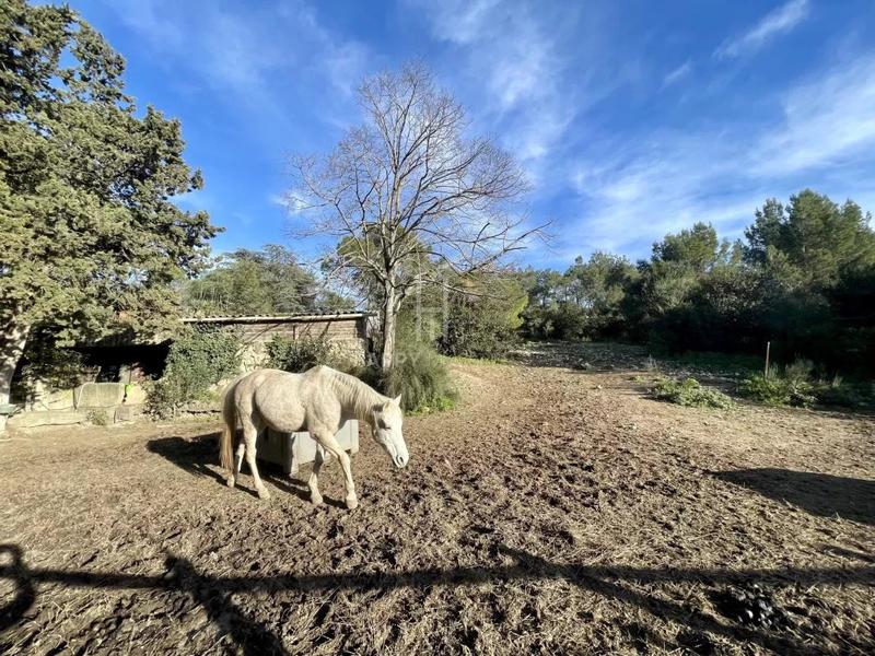 Propriété - 753 m²