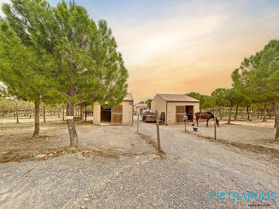 Terrain agricole - 44 960 m²