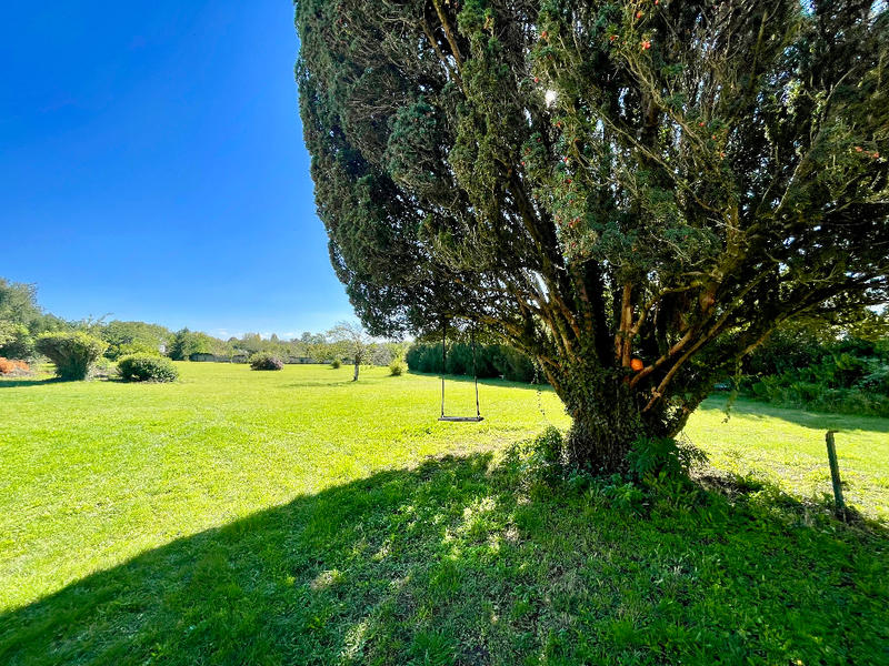 Immeuble - 700 m² - 32 pièces