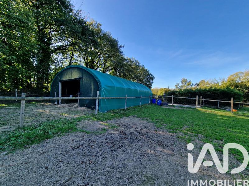 Maison de campagne - 131 m² - 5 pièces