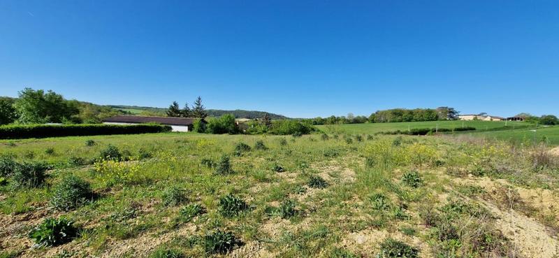 Terrain - 1 616 m²