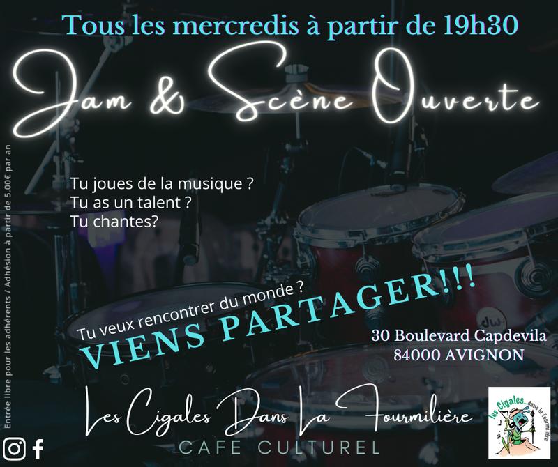 Concert Camille Lellouche, A tour à Avignon le 18 février 2024