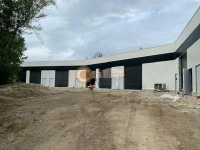 Local d'activité / Entrepôt - 155 m²