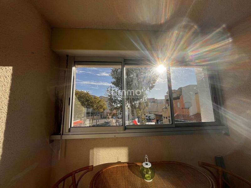 Studio - 24 m² - 1 pièce