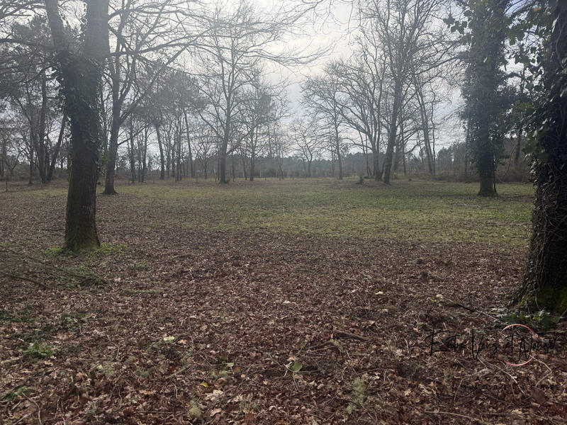 Maison ancienne - 243 m² - 10 pièces