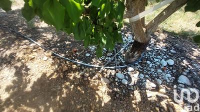 Terrain agricole - 8 467 m²