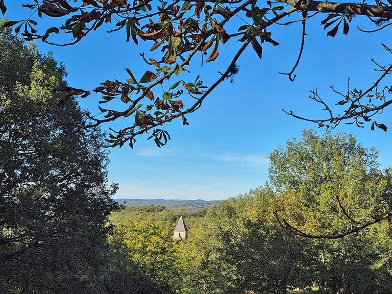 Terrain constructible - 8 085 m²