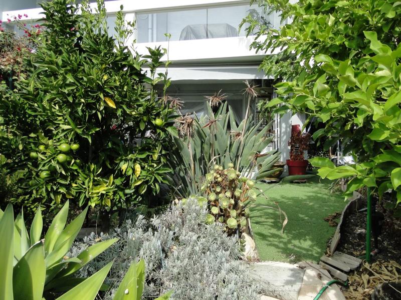 Appartement - 23 m² - 1 pièce