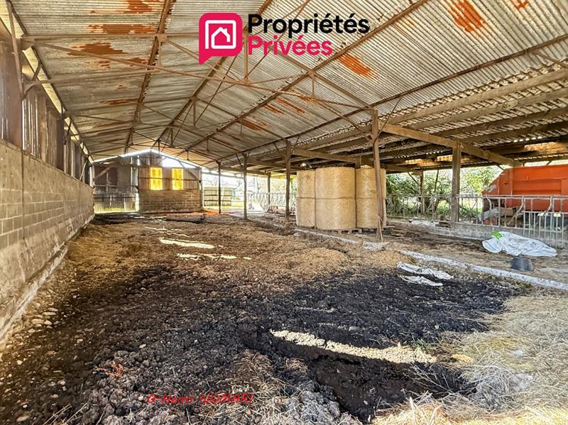 Maison - 207 m² - 8 pièces