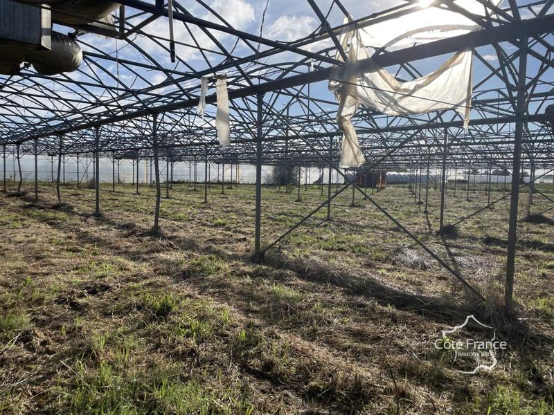 Terrain agricole - 130 000 m²