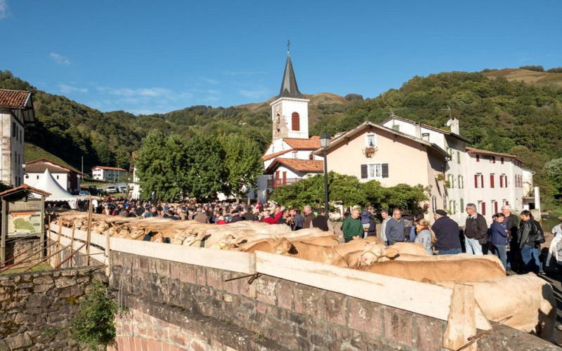 Portes ouvertes de la Vallée des Aldudes