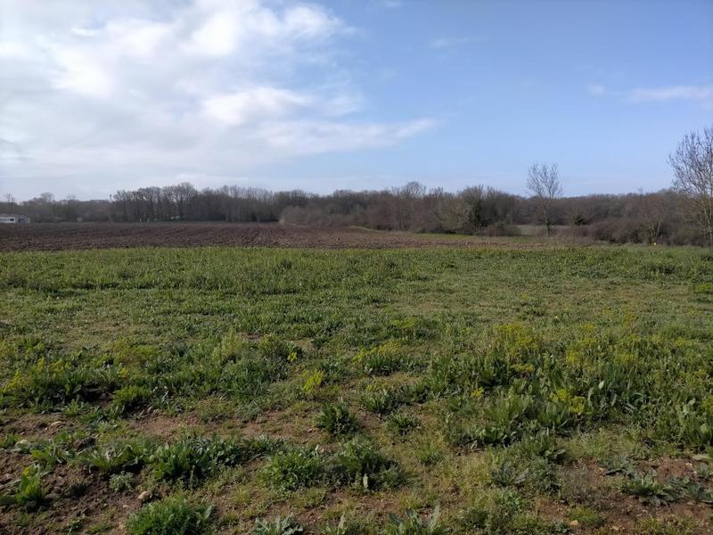 Terrain constructible - 580 m²
