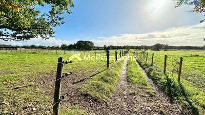 Local d'activité / Entrepôt - 240 m² - 7 pièces