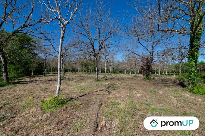 Terrain - 10 000 m²