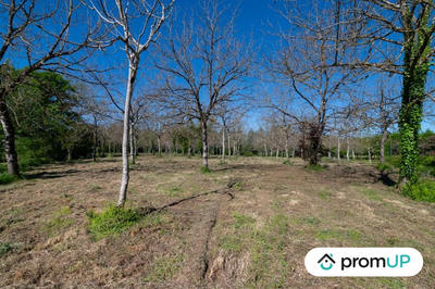 Terrain - 10 000 m²