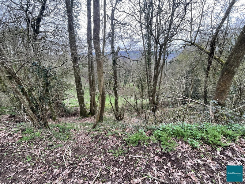 Terrain de loisirs - 25 500 m²