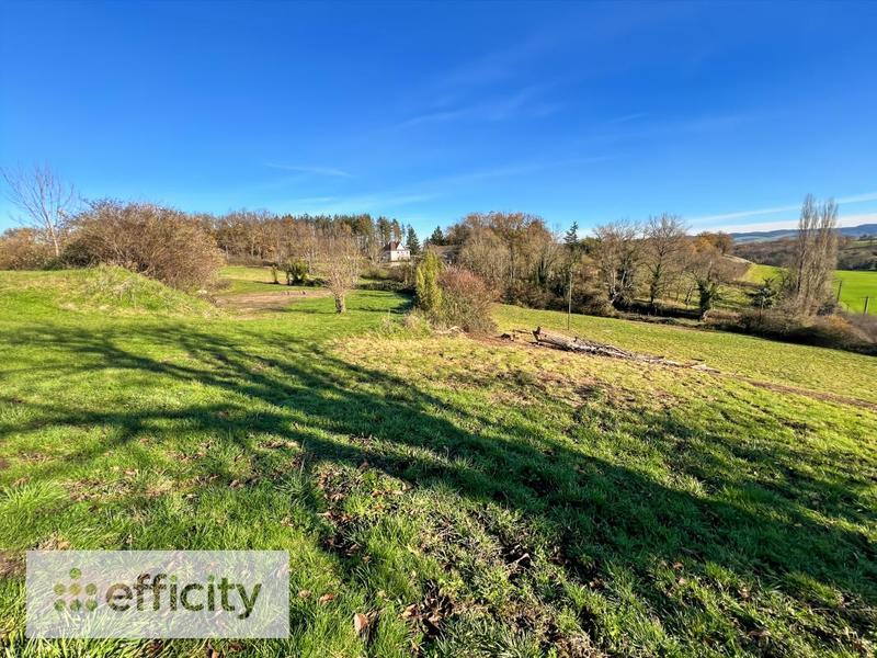 Maison en pierre - 380 m² - 8 pièces