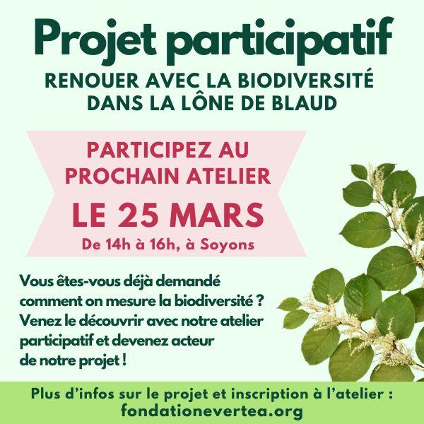 Atelier participatif "Renouer avec la Biodiversité"