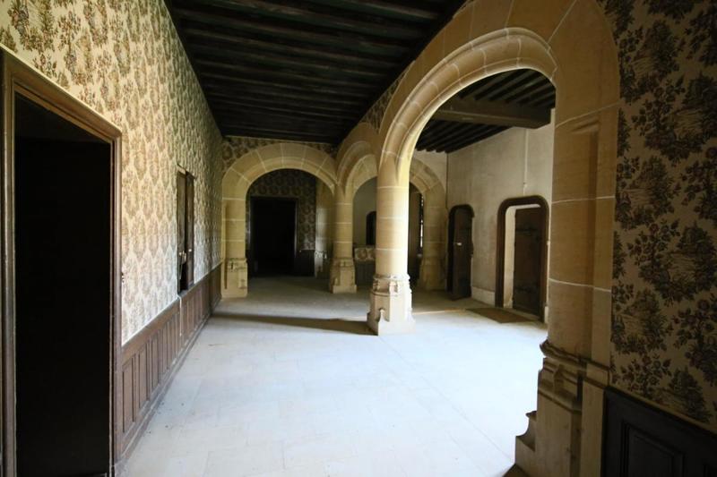 Château - 1 500 m² - 40 pièces