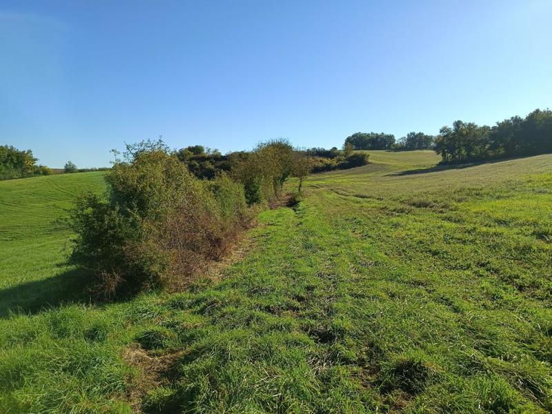 Terrain agricole - 9 582 m²