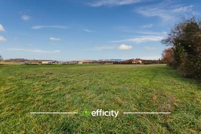 Terrain constructible - 7 520 m²