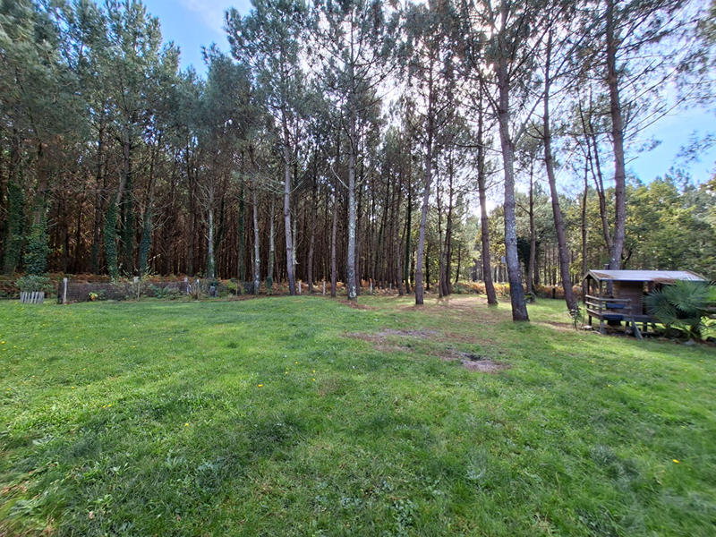 Maison - 311 m² - 10 pièces