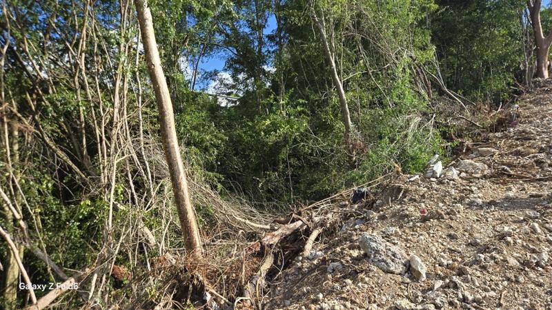 Terrain constructible - 3 000 m²