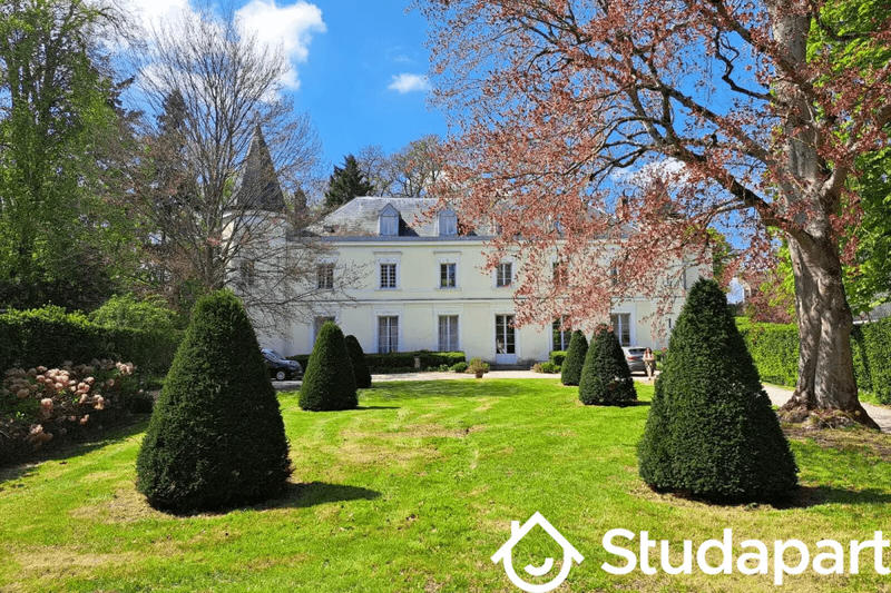 Chambre - 18 m² - 1 pièce