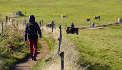 Téléthon Cantonal | Randonnée, animations et restauration