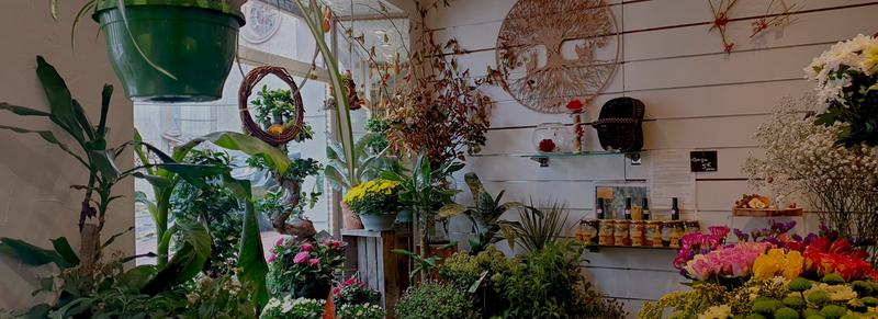 Le Chardon - Artisan fleuriste