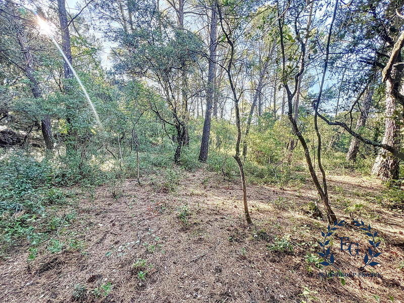 Terrain de loisirs - 20 020 m²