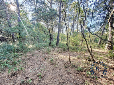 Terrain de loisirs - 20 020 m²