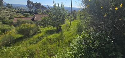 Terrain constructible - 2 000 m²