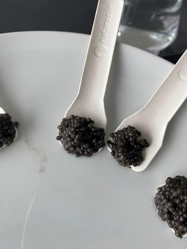 Visite privilège de l'Esturgeonnière