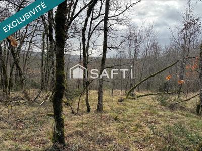 Terrain agricole - 4 860 m²