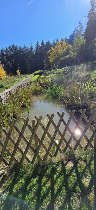 Maison - 398 m² - 14 pièces