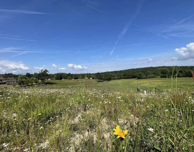 Terrain constructible - 2 190 m²