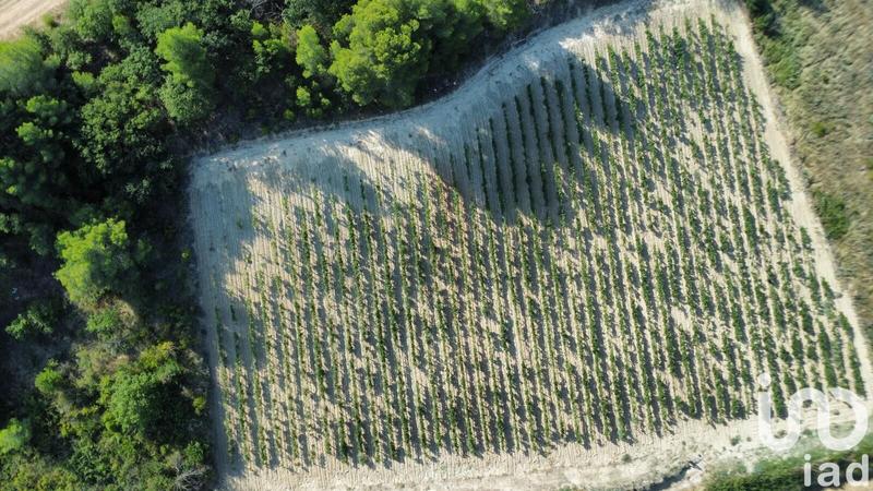 Terrain agricole - 6 840 m²