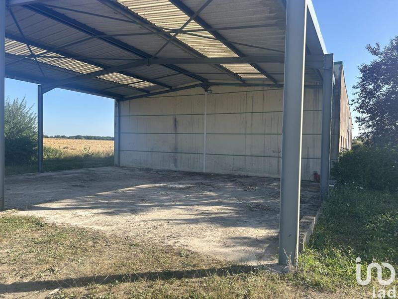 Local commercial - 460 m²