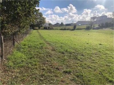 Terrain constructible - 1 446 m²