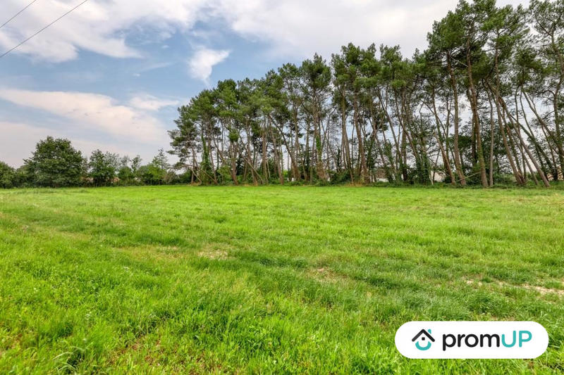 Terrain de loisirs - 946 m²