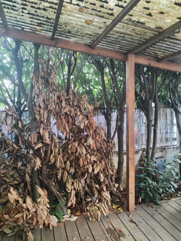 Maison - 65 m² - 3 pièces