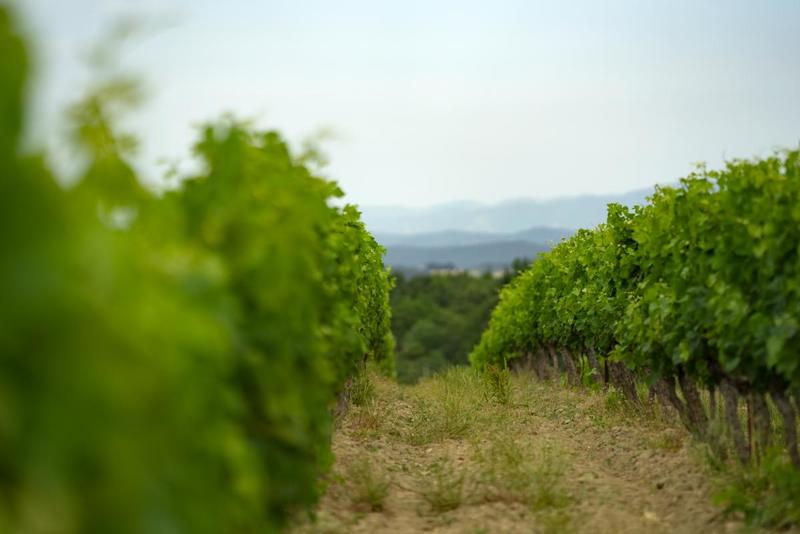 Terrain agricole - 360 000 m²