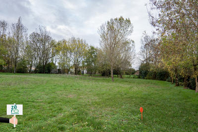 Terrain - 1 871 m²