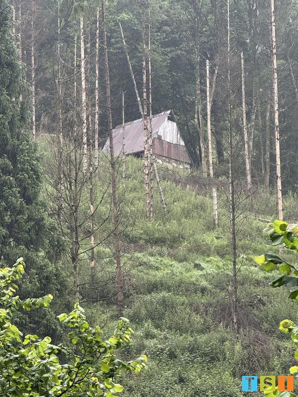 Maison - 25 m² - 1 pièce