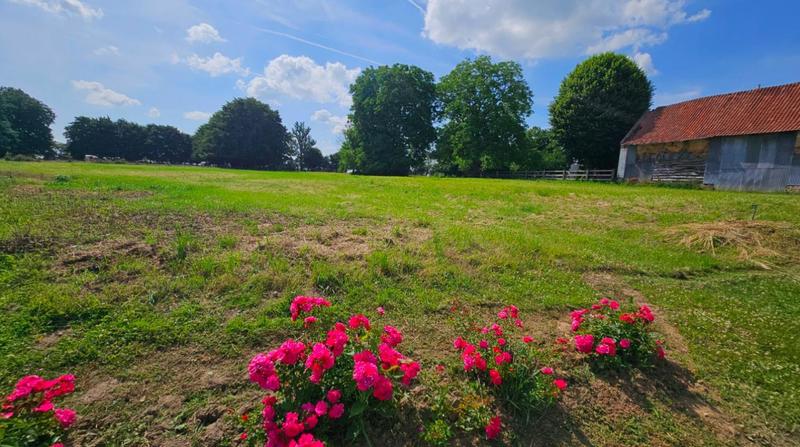 Terrain constructible - 3 883 m²