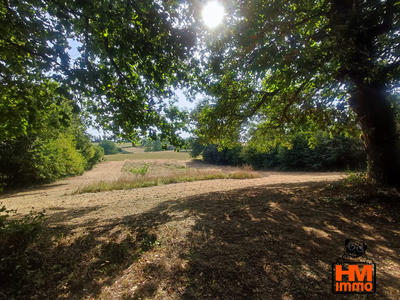 Terrain - 3 644 m²