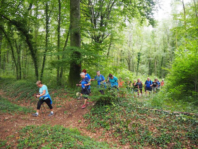 Marche hebdomadaire - les Sathanay marcheurs