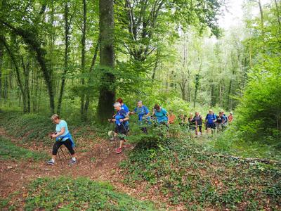 Marche hebdomadaire - les Sathanay marcheurs