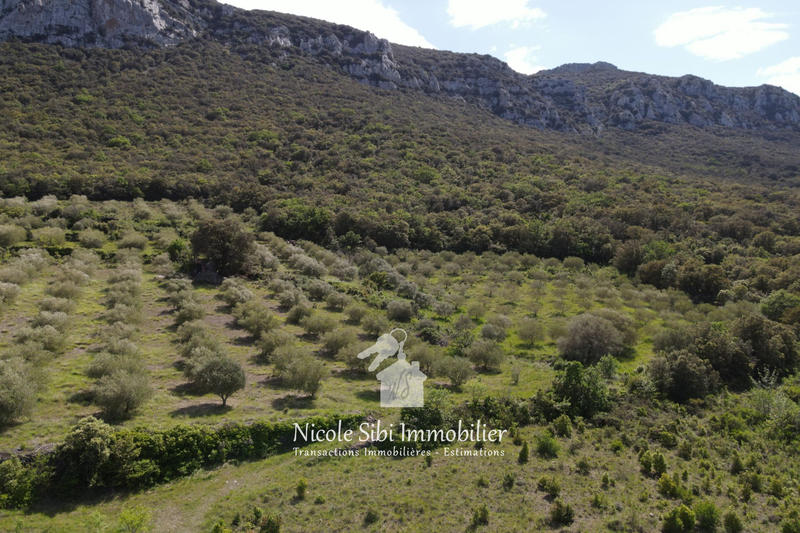 Terrain agricole - 45 557 m²